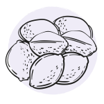 seed