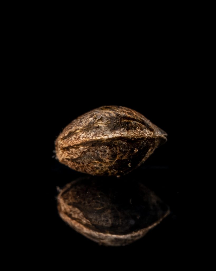 grapefruit-tangerine